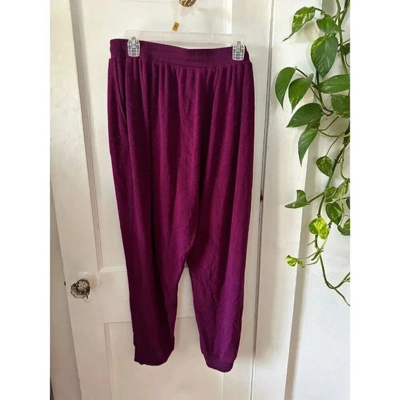 Jane + Delancey women’s size 2x-large purple sweatpants - Picture 6 of 7